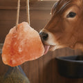 Natural Lick Salt