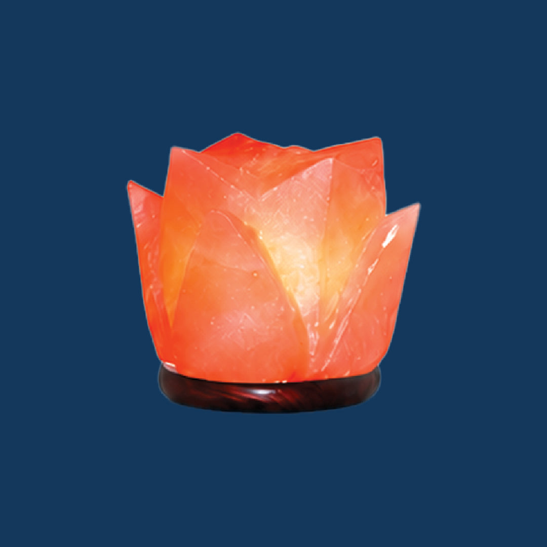 Himalayan Crafted Salt Flower Lamp