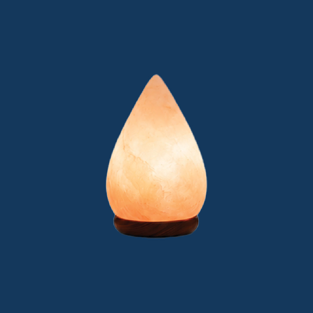 Himalayan Crafted Salt Com Lamp