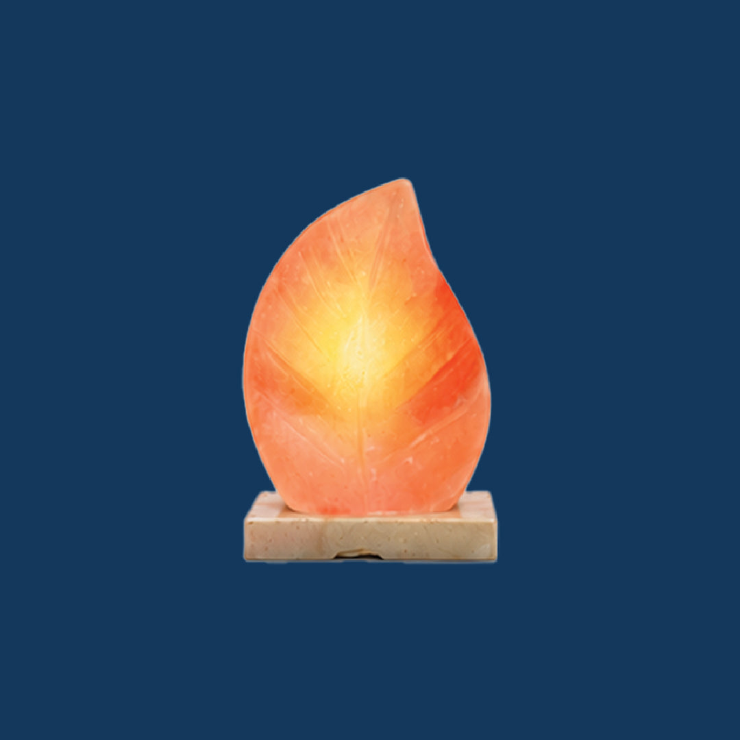 Himalayan Crafted Salt Leaf Lamp