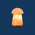 Himalayan Crafted Salt Vass Shape Lamp